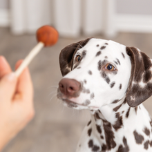Trixie PREMIO Lolly med torsk 1stk. BF 30/11/25