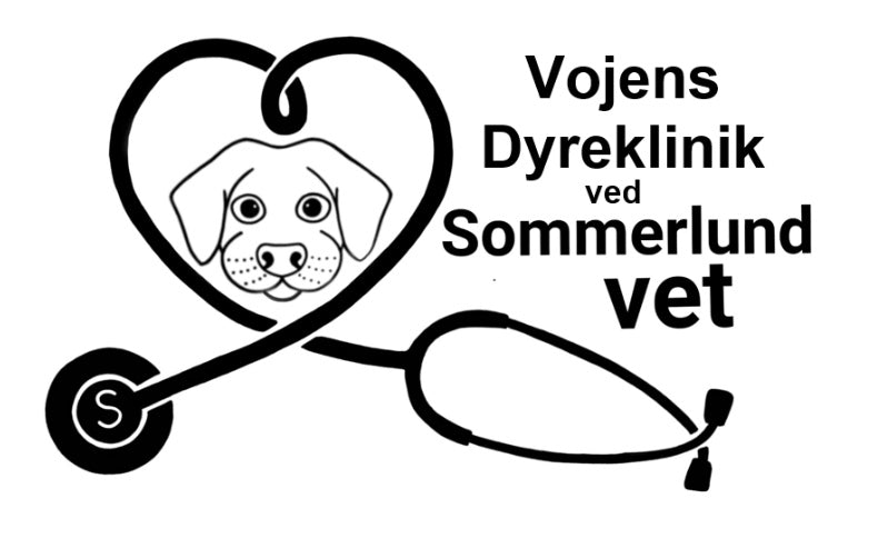 Forgiftning hos hunde og katte – giftige fødevarer og planter