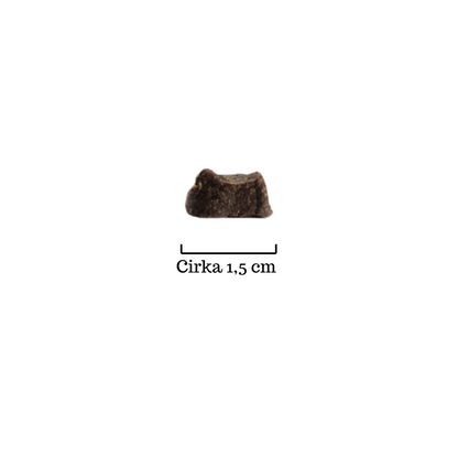 Snack'it Mini Trainers Fasankød 100g