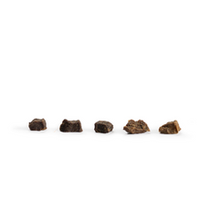 Snack'it Mini Trainers Fasankød 100g