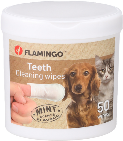 CLEANING WIPES FOR TEETH REINI FINGER MINT 50PCS