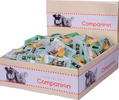 Companion Lollipop - And