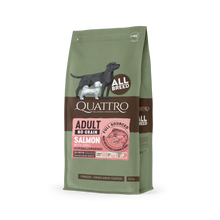 Quattro Super Premium No Grain All Breed Adult, Salmon & Krill