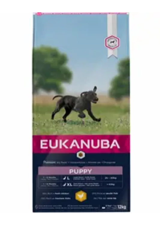 EUKANUBA Puppy Large Breed kylling 12 kg