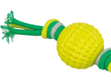 Trixie Ball with rope