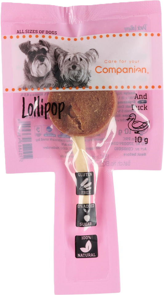 Companion Lollipop - And