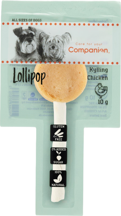 Companion Lollipop - Kylling