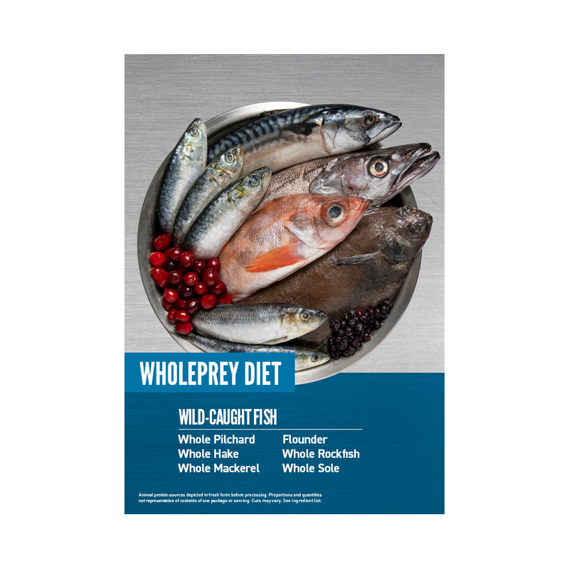 Orijen kattemad - seks Fish (Sardin - Makrel - Kulmule - Rødfisk og Søtunge)