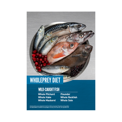 Orijen kattemad - seks Fish (Sardin - Makrel - Kulmule - Rødfisk og Søtunge)